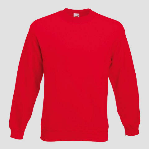 Premium Sweatshirt - Printed