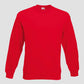 Premium Sweatshirt - Printed